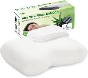 Third of Life Coussin Aloe Vera