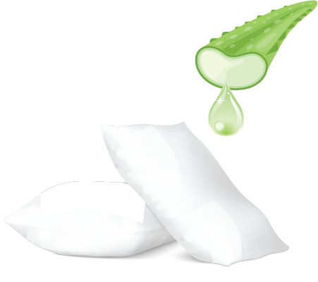 coussin aloe vera